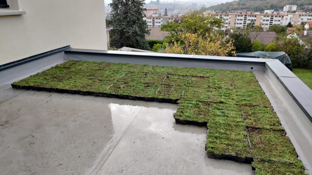 toit terrasse végétalisé