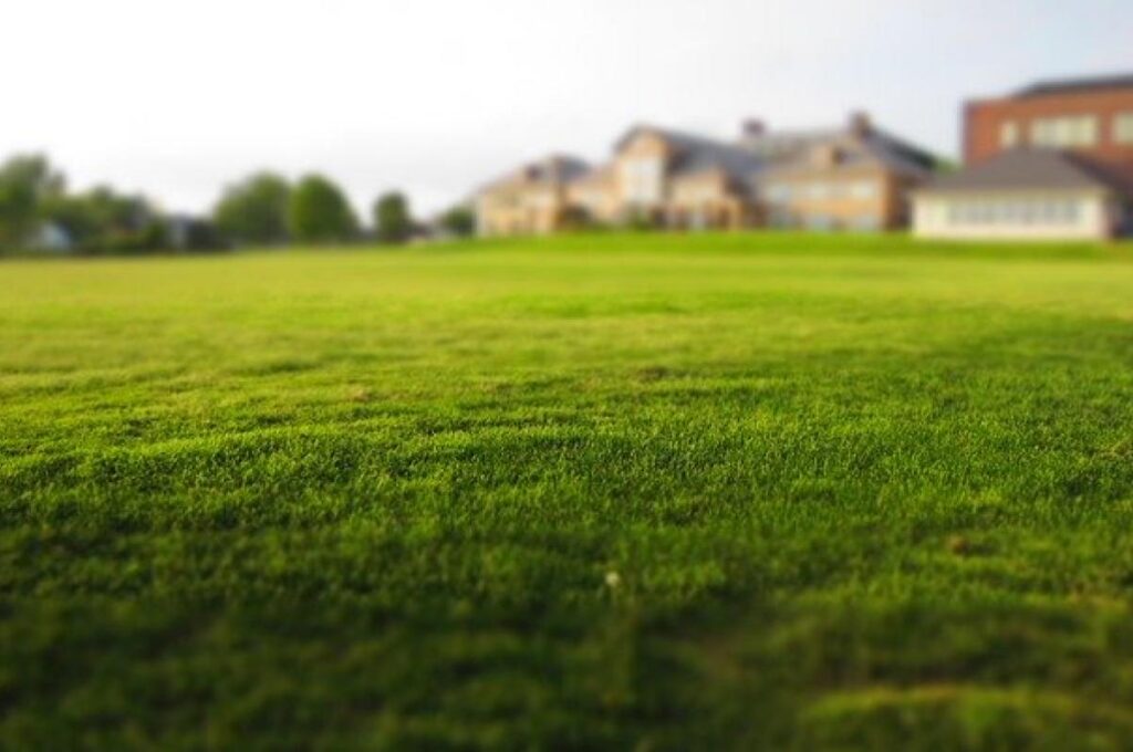 frais de notaire pour un terrain