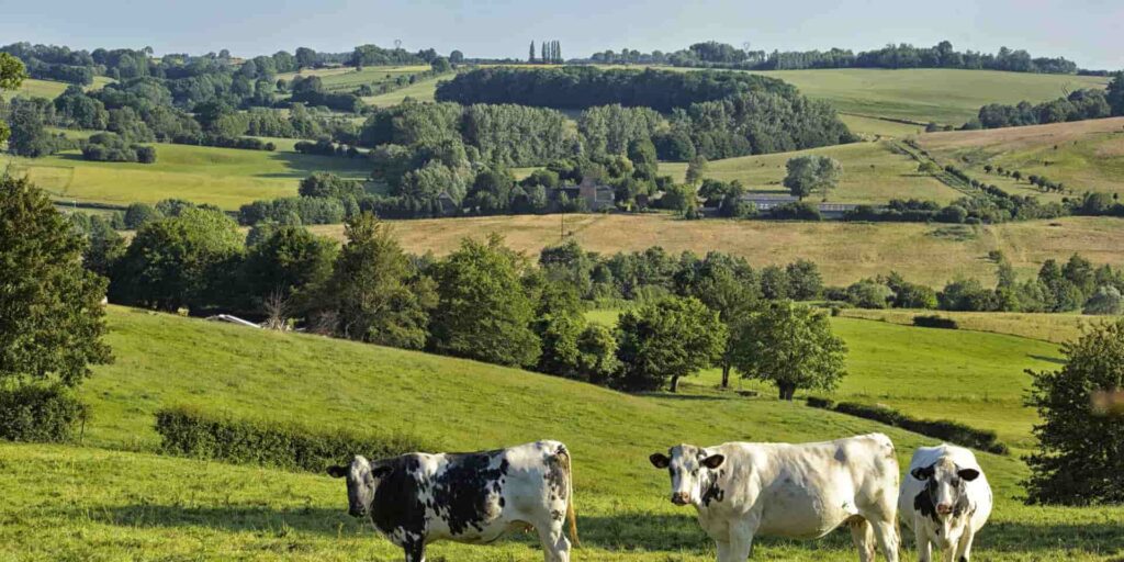 Construire dans les Hauts-de-France