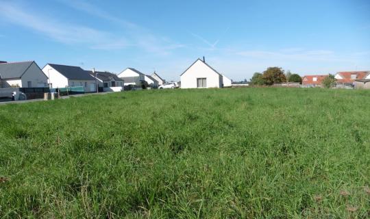 Terrain constructible